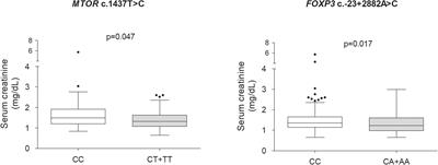 Polymorphisms in mTOR and Calcineurin Signaling Pathways Are Associated With Long-Term Clinical Outcomes in Kidney Transplant Recipients